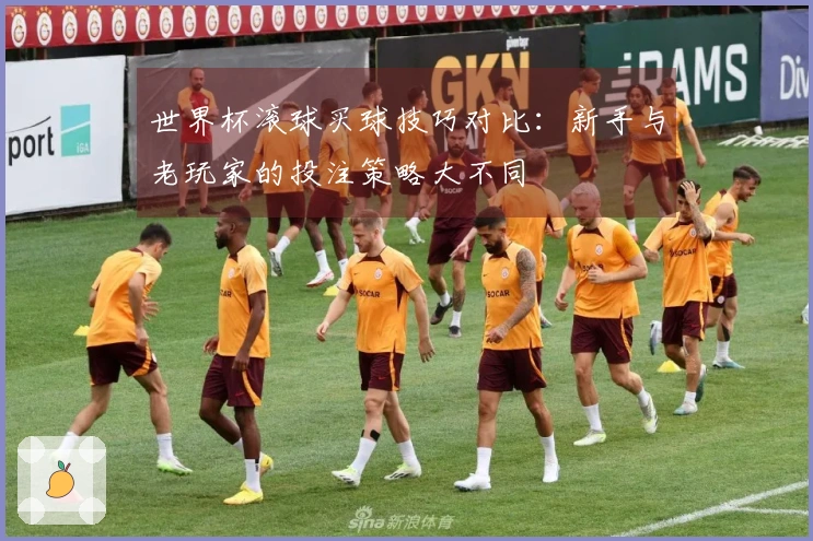 世界杯滚球买球技巧对比：新手与老玩家的投注策略大不同