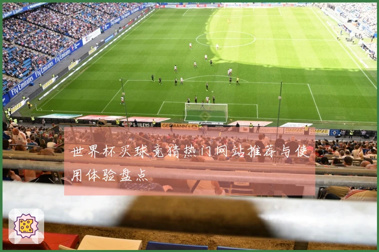 世界杯买球竞猜热门网站推荐与使用体验盘点