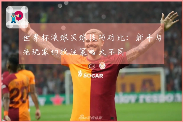 世界杯滚球买球技巧对比：新手与老玩家的投注策略大不同