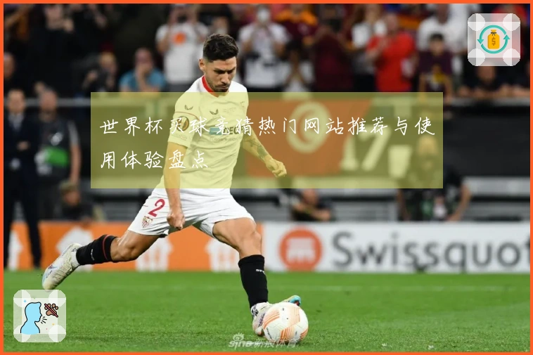世界杯买球竞猜热门网站推荐与使用体验盘点