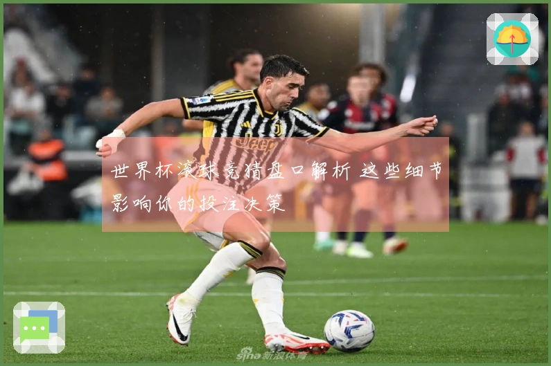 世界杯滚球竞猜盘口解析 这些细节影响你的投注决策