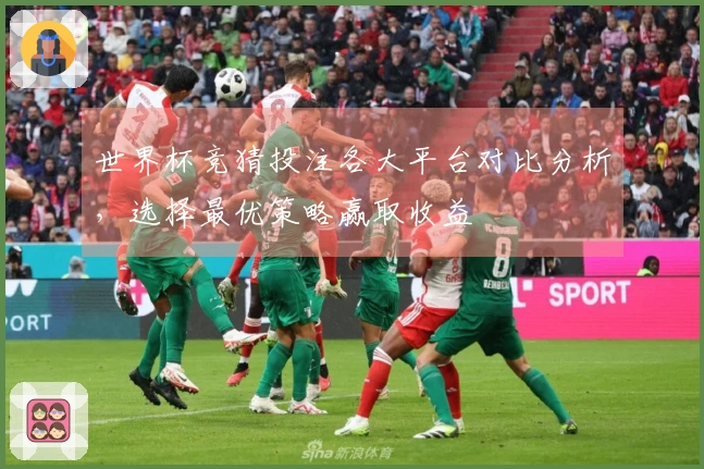 世界杯竞猜投注各大平台对比分析，选择最优策略赢取收益